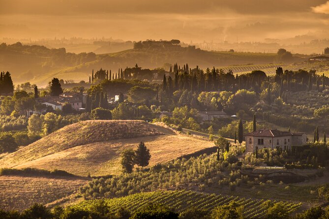 Tuscany & Assisi Small Group Day Trip From Rome With Wine Tasting - Comfortable Transportation