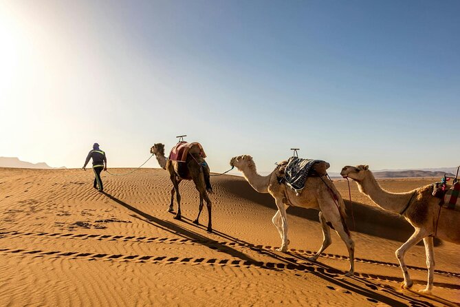 Two Day Tour With Overnight Desert Camp Experience From Agadir - Good To Know