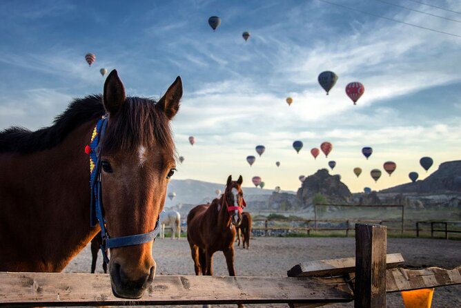 Two Days Tour to Cappadocia With HB Hotel & Transfer From Kemer - Good To Know