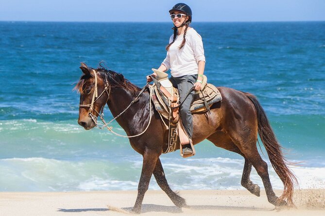 Two Hours Adventure Horse Riding With Transfer From Hurghada - Good To Know