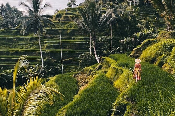 Ubud Higlights Monkey Forest Rice Terrace and Temple Tour - Good To Know