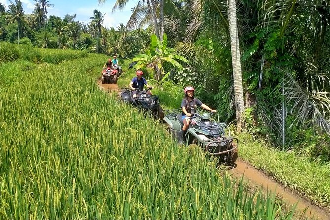 Ubud Quad Bike ATV Adventure in Bali - What to Expect