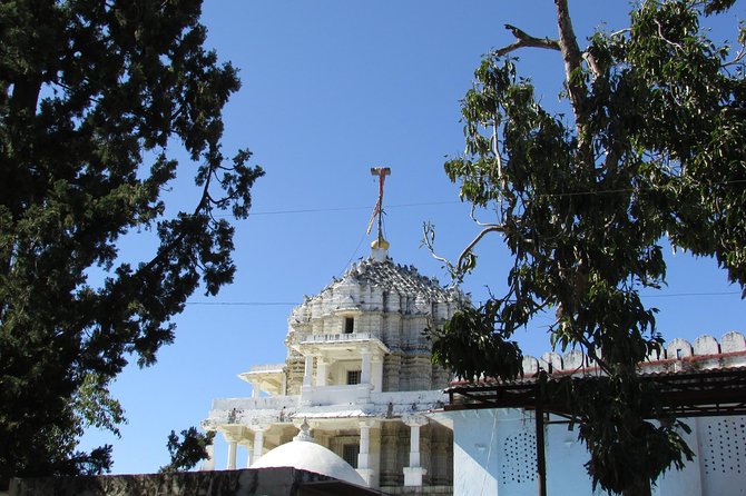 Udaipur to Vadodara The Regal Cities & Magnificent Monuments Tour - Good To Know