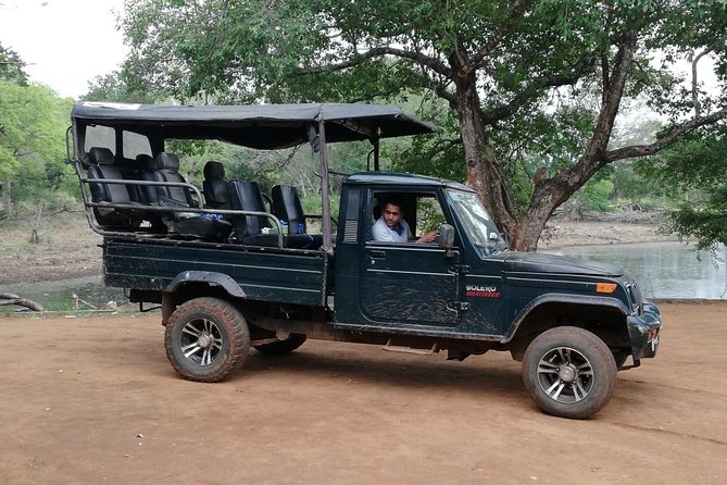 Udawalawa Safari Tour - All Inclusive Day Tour (Group) - Good To Know