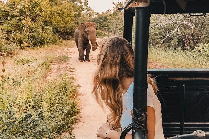 Udawalawe National Park Safari From Kalutara/Bentota/Hikkaduwa - Start Time and Requirements