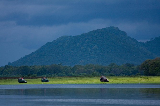 Udawalawe National Park Safari From Kalutara - Good To Know