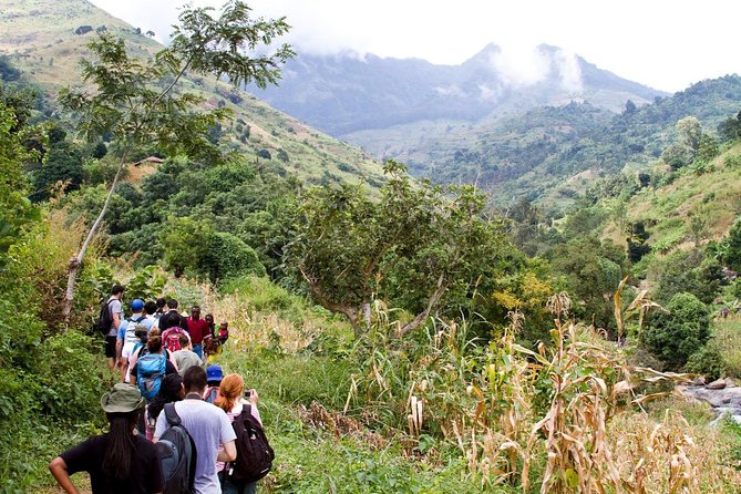 Uluguru Mountains Hiking To The Peak 2 Days 1 Night Camping - Good To Know