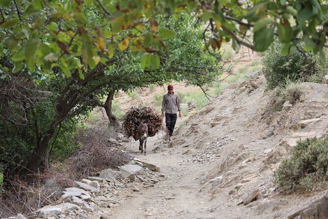Undiscovered Uzbekistan: Ukhum Village From Samarkand - Good To Know