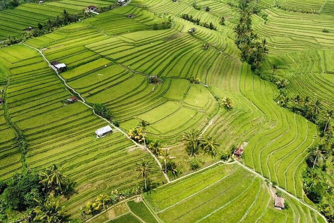 UNESCO Rice Terrace Jatiluwih With Tanah Lot Sunset Tour - Good To Know