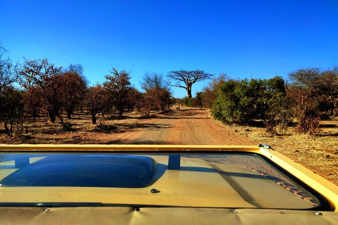 Unique Game Drive in Zambezi National Park in Open Safari Jeep - Good To Know