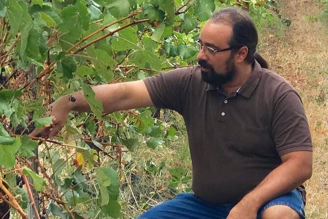 Unveiling Wine Secrets: Exclusive Tour With the Winemaker - Good To Know