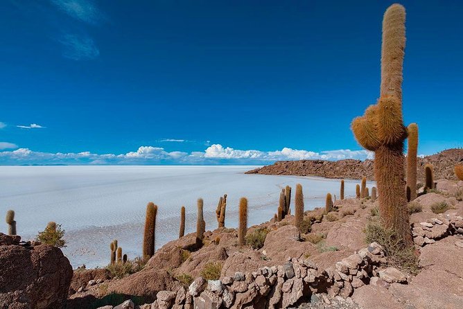 Uyuni Salt Flat Tour 2 Days 1 Night / Tunupa Volcano / Group Service - Good To Know