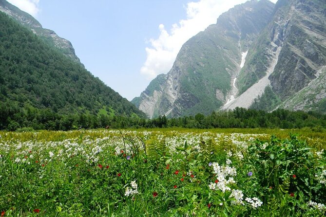 Valley of Flowers - UNESCO World Heritage Site, Uttarakhand - Good To Know