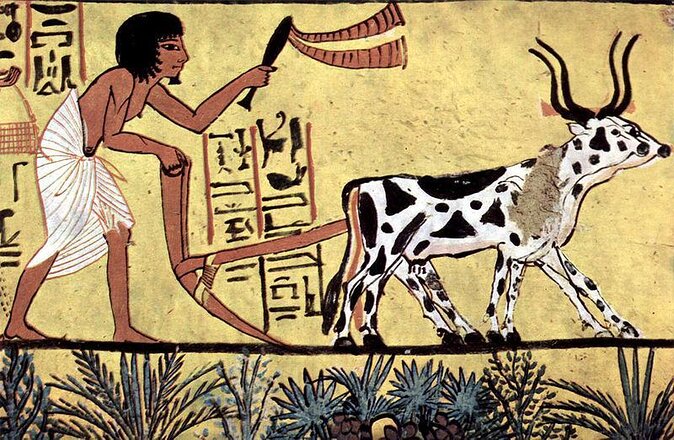 Valley of Nobles and Valley of Artisiansdeir El Medina - Good To Know