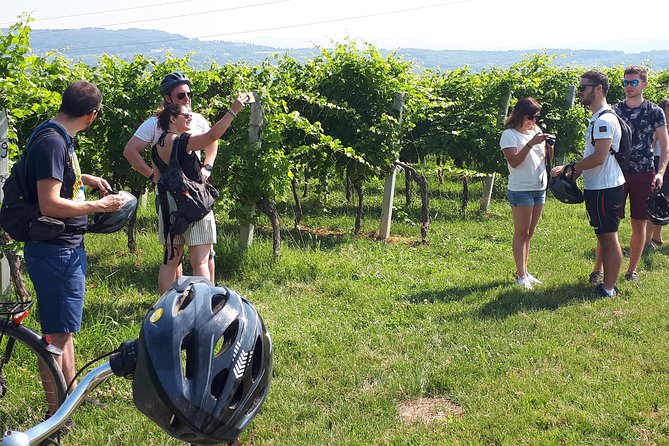 Valpolicella Bike Tour From Verona - Good To Know