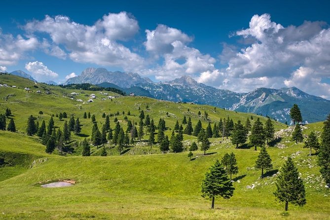 Velika Planina Private Hiking Trip From Ljubljana - Good To Know