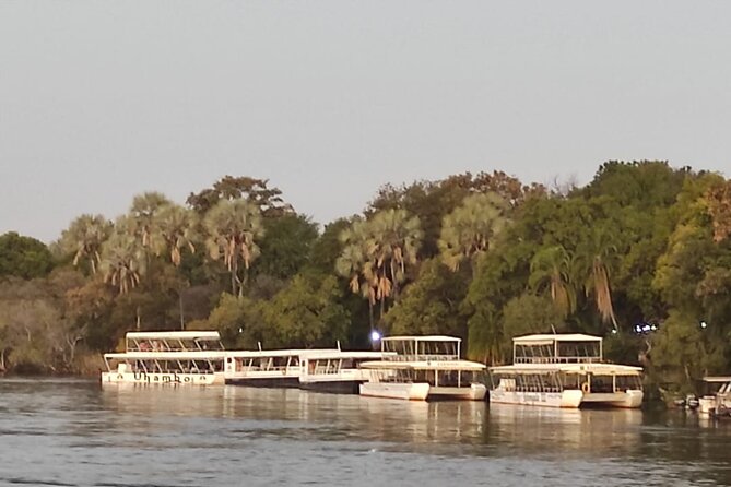 Victoria Falls: Standard Sunset Cruise on the Zambezi River - Good To Know