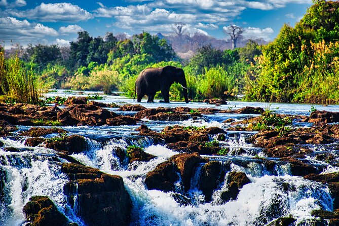 View of The Falls+Bridge Experience, 2 Hr Guided Walking Safari - Good To Know