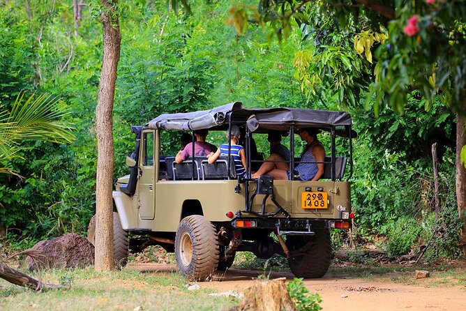 Village Tour by Classic Jeep From Habarana - Good To Know