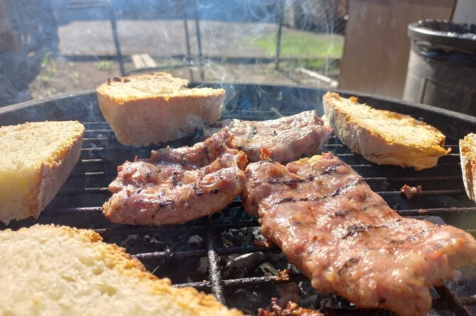 Vineyards With Wine and Food Tasting in Frascati From Rome - Good To Know