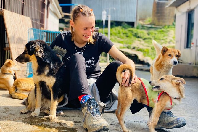 Visit Animal Sanctuary in Kathmandu - Good To Know