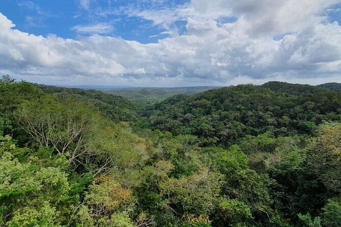 Visit Ixpanpajul: Jungle, Trekking, Hanging Bridges & Canopy - Tour From Flores - Highlights of the Tour