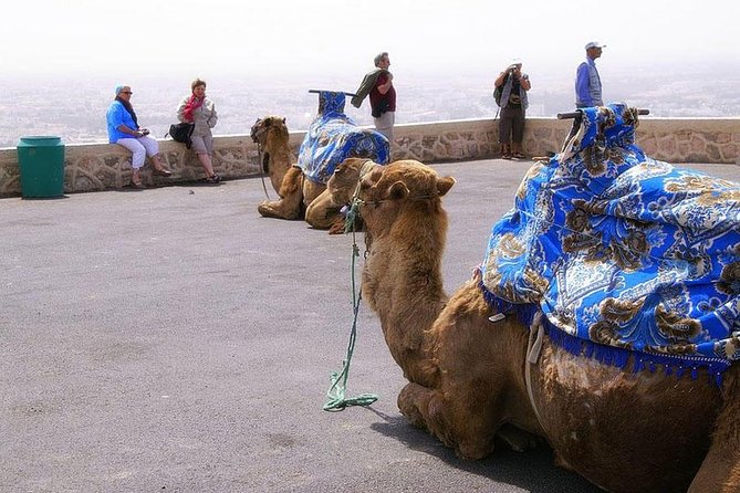 Visit of Agadir - Good To Know