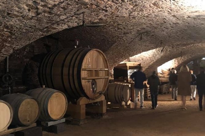 Visit of the Château & Wine and Chocolate Workshop - Overview of the Experience