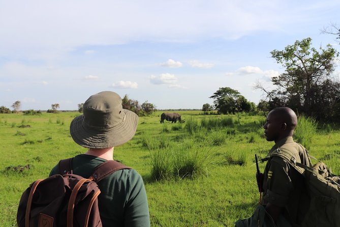 Visit Rhinos at Ziwa Rhino Sanctuary From Masindi - Good To Know
