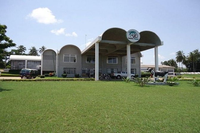 Visit Salt Mining & Milk Processing Plant-From Tanga City-Full Day Tour - Good To Know