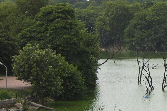 Visit to Hauz Khas Village - Delhi With Lunch - Tour Overview