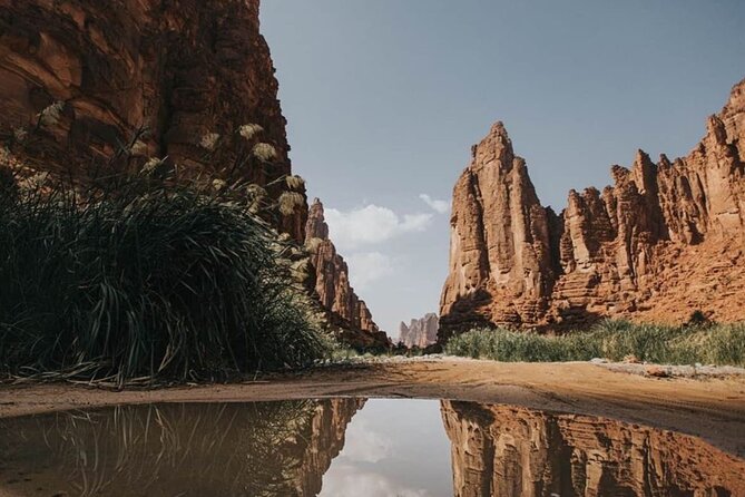 Wadi Al Disah Full Day Tour With Hotel Pickup - Good To Know