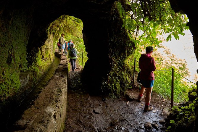 Walk Green Cauldron – Maze Forest