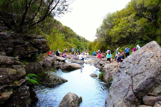 Walk - Madeira Lakes - Good To Know