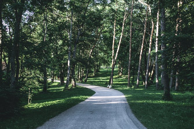 Walking Escape in Trakai National Park - Good To Know
