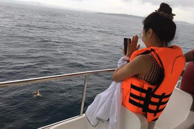 Whale Watching Cruise From Unawatuna - Whale Watching Cruise Overview
