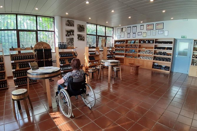 Wheelchair Handicap Cabo Girão Half Day Tour - Good To Know