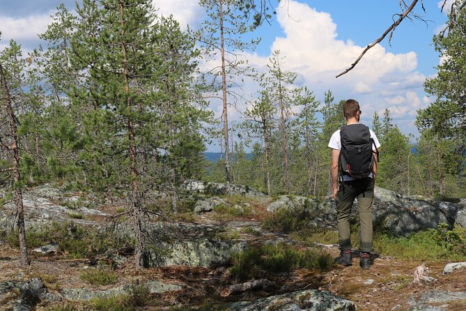 Wilderness Hike in Rovaniemi - Good To Know