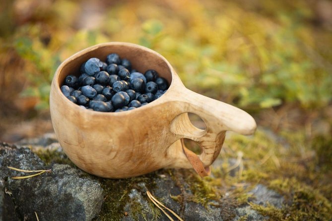 Wildfood From the Forest - Good To Know