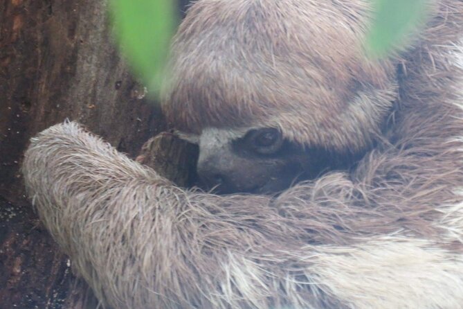 Wildlife Tour in the Ecuadorian Amazon - Good To Know