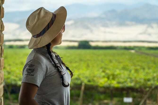 Wine and Pisco Experience From Ica or Huacachina - Good To Know