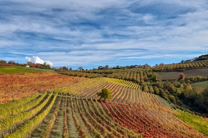 Wine and Typical Product Tasting Tour - Good To Know