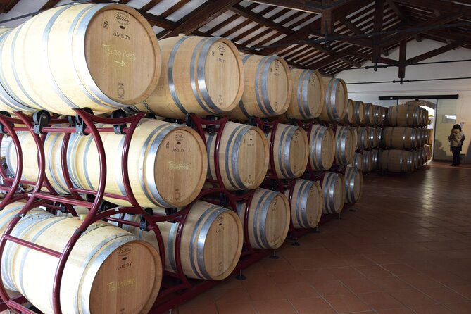Wine Experience in Venosa Re Manfredi - Good To Know