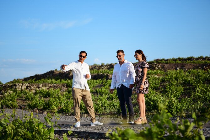 Wine Tasting and Food Pairing With Caldera Views - Good To Know