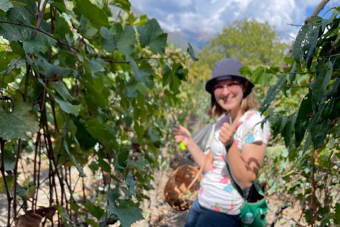Wine Tour to Kakheti Region From Tbilisi, Bake and Take, Harvest and Squish ! - Good To Know