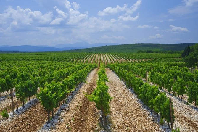 Wine Wanderlust, Herzegovinas Most Famous Wines Tour - Good To Know