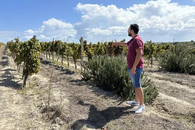 Winery Tour With Wine and Food Tasting in Noto - Overview of the Winery Tour