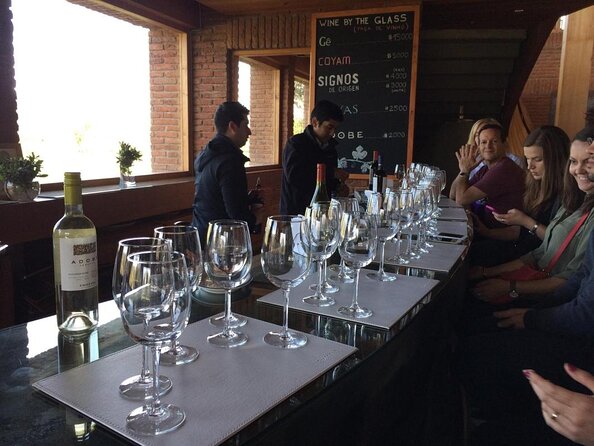 World Biggest Organic Winery Emiliana, Valparaiso & Transfer - Good To Know