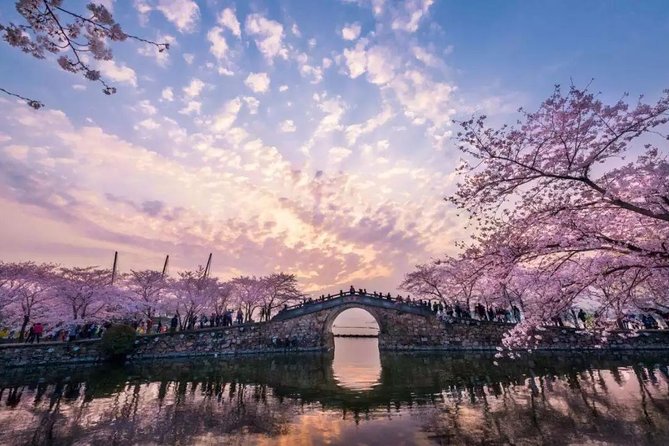 Wuxi Lingshan Buddhist Scenic Spot and Tai Lake Private Tour - Good To Know