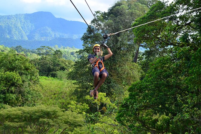 Zipline and Tarzang Swing Experience in San Carlos - Experience Overview